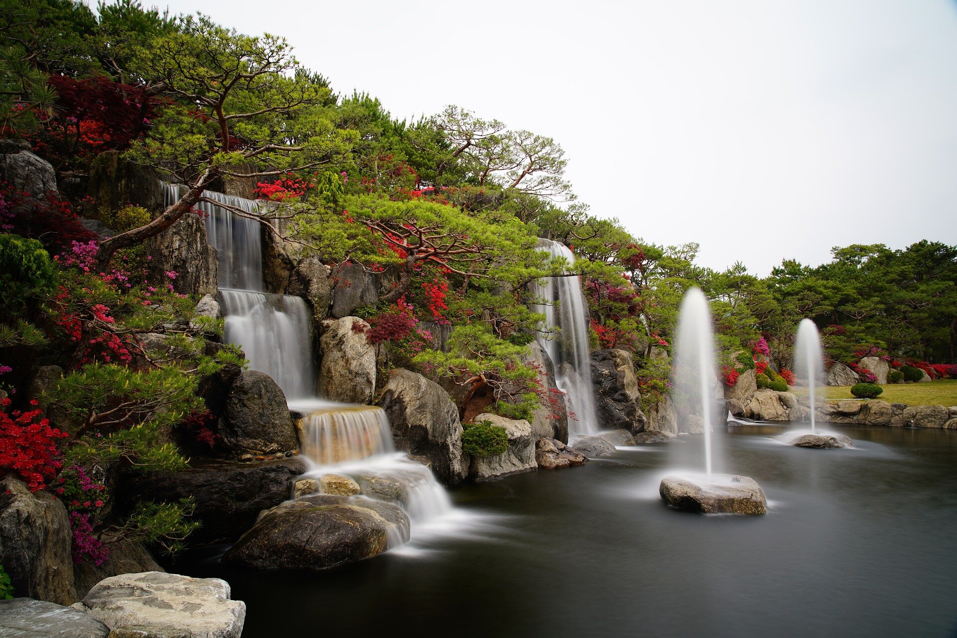 azalea-5120368_1920.jpg - Jaesung An.jpg