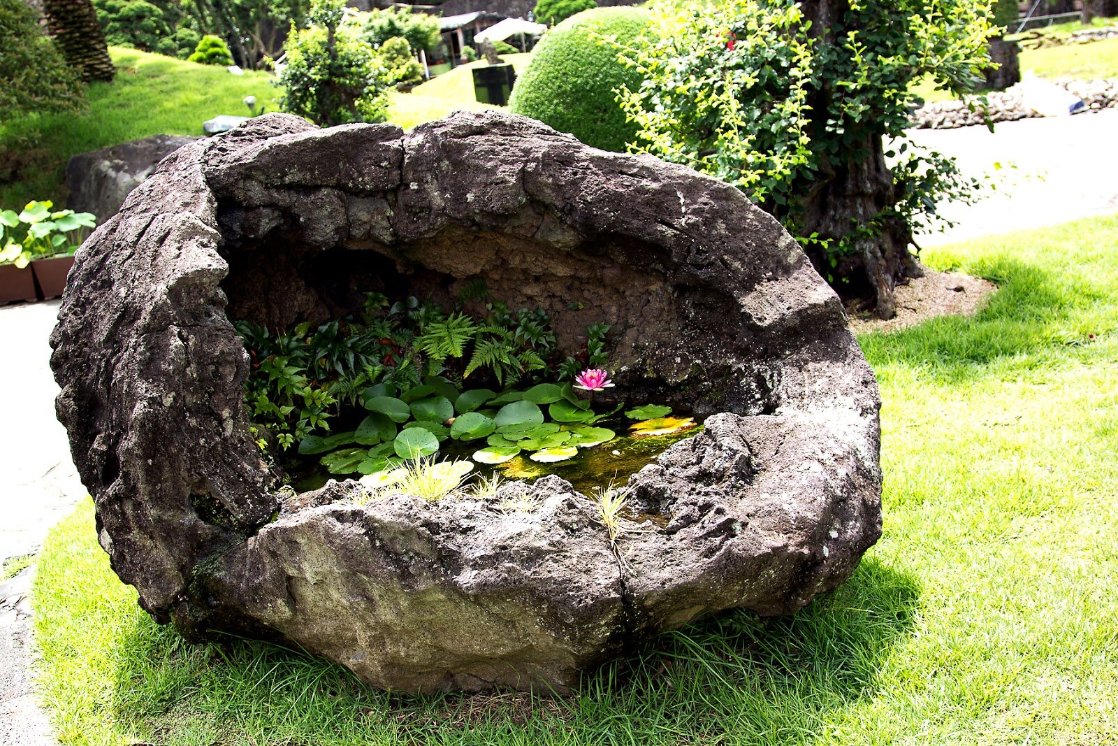 4. BOULDER POND