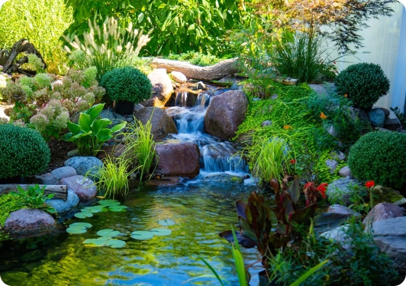 Ecosystem Ponds in Ontario