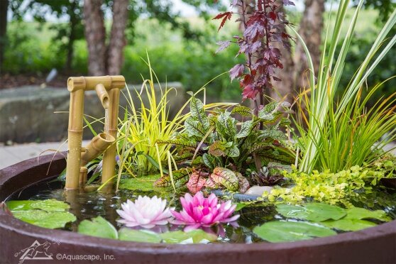 patio-pond2-1-558x372.jpg