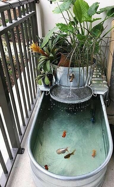 3. METAL TUB POND