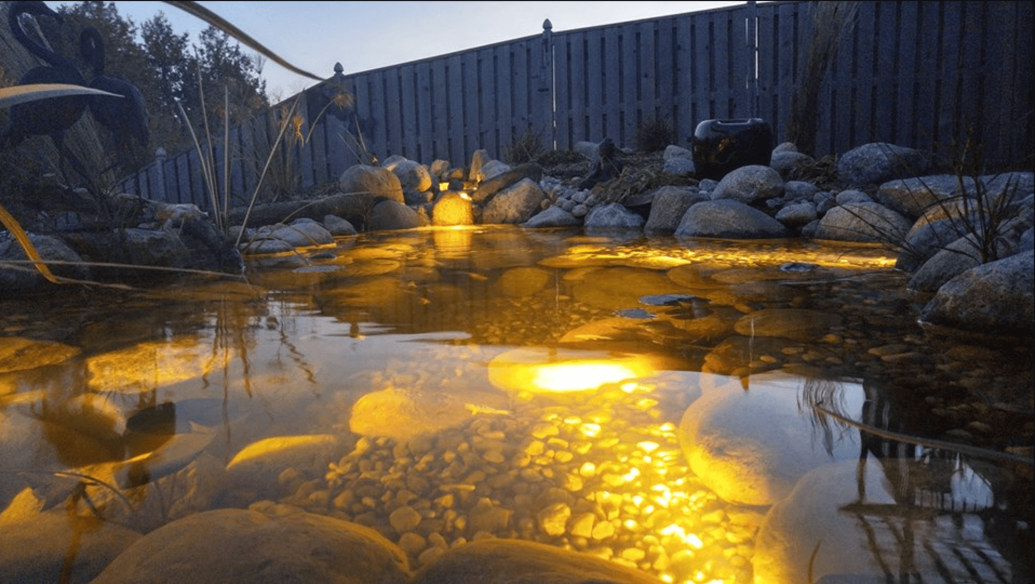 pond lighting - clearwater - p2-1.png