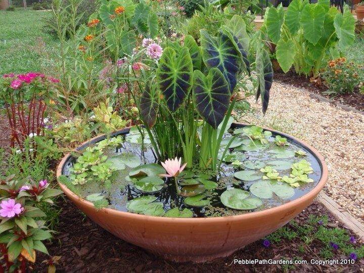 1. POTTERY POND 