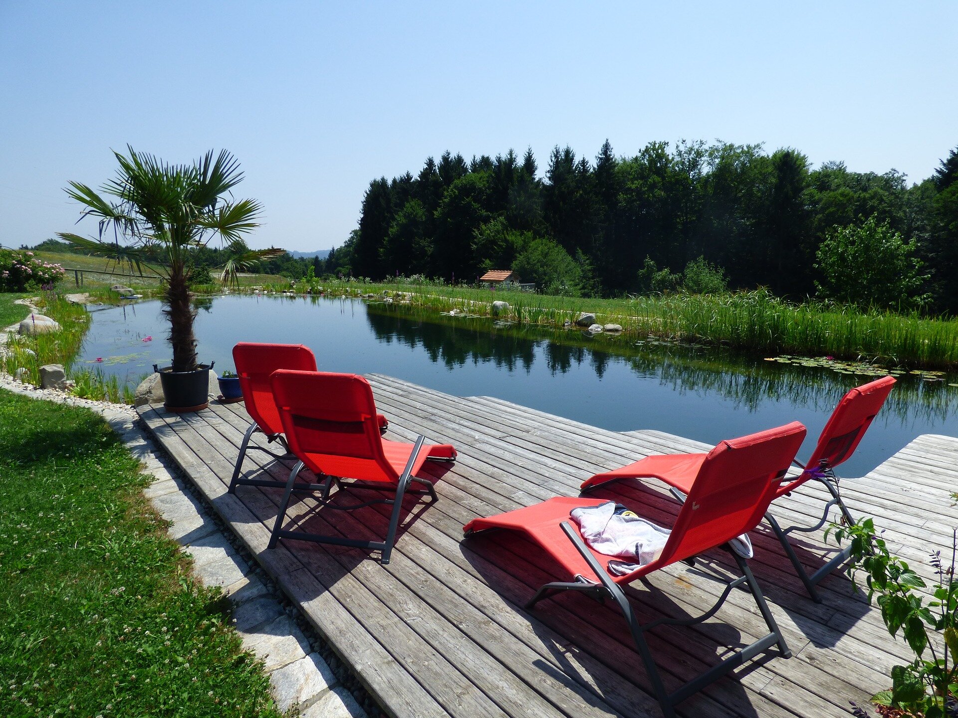 swimming pond cover photo.jpg