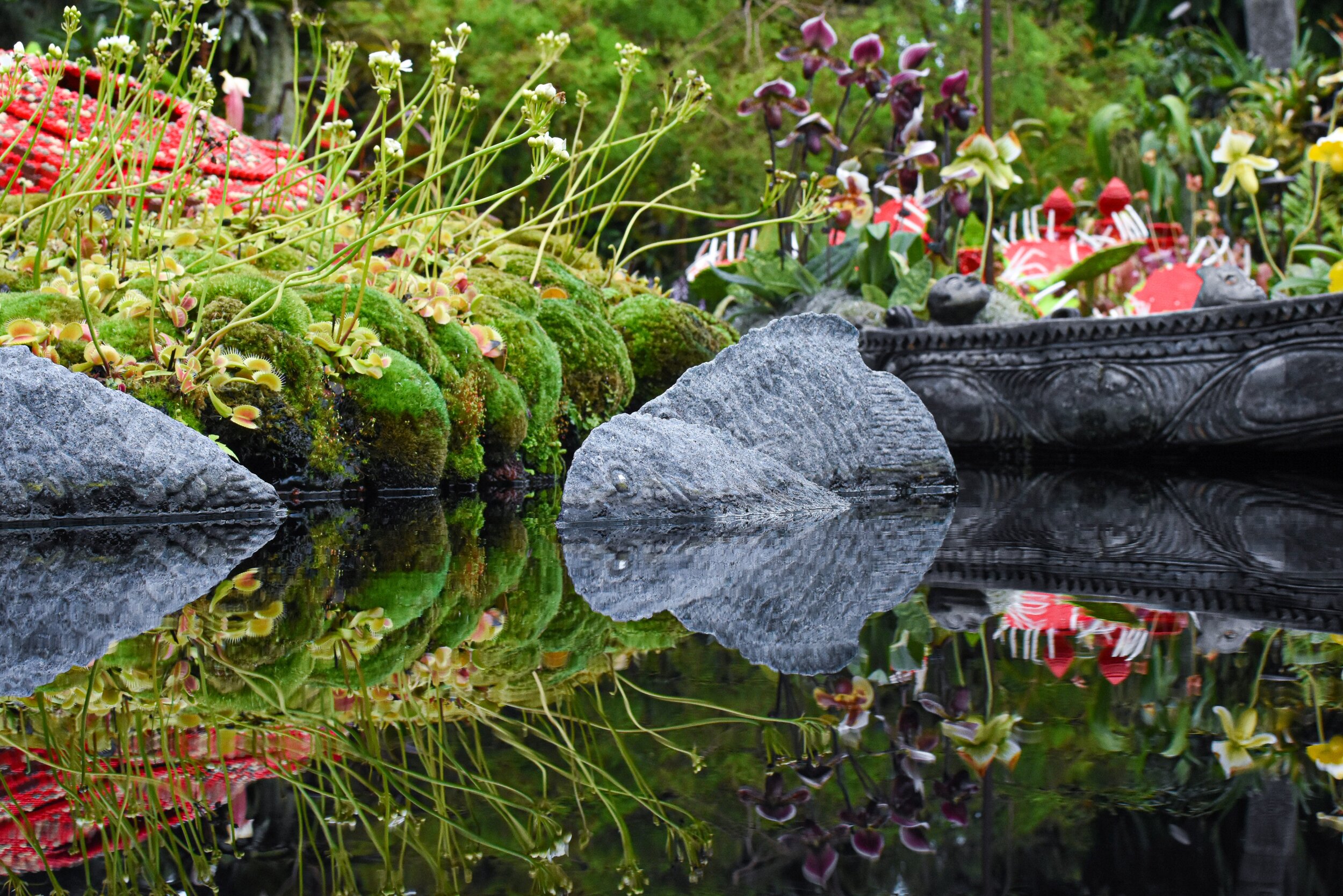 thyla-jane-cqRreQXH9G8-unsplash.jpg - pond reflection.jpg