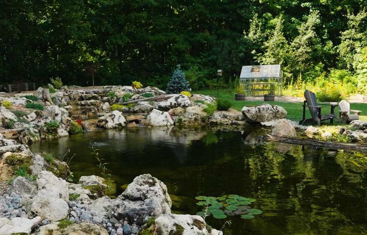 Swimming and Ecosystem Pond Builders Tampa Florida