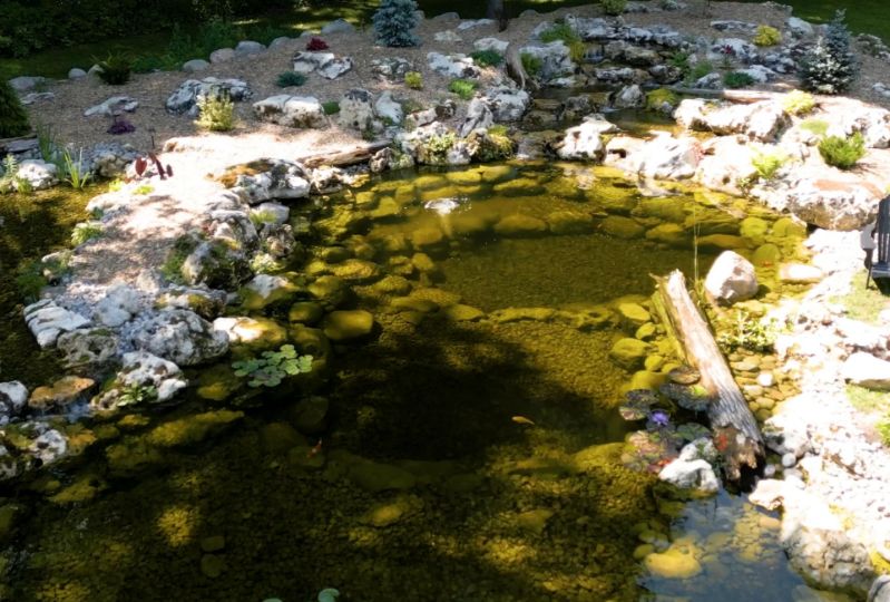 Natural Swimming Pools in Tampa Florida