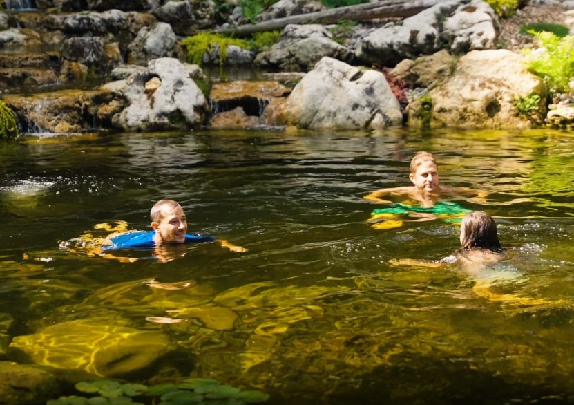 Ecosystem Pond Builders in Tampa, Florida